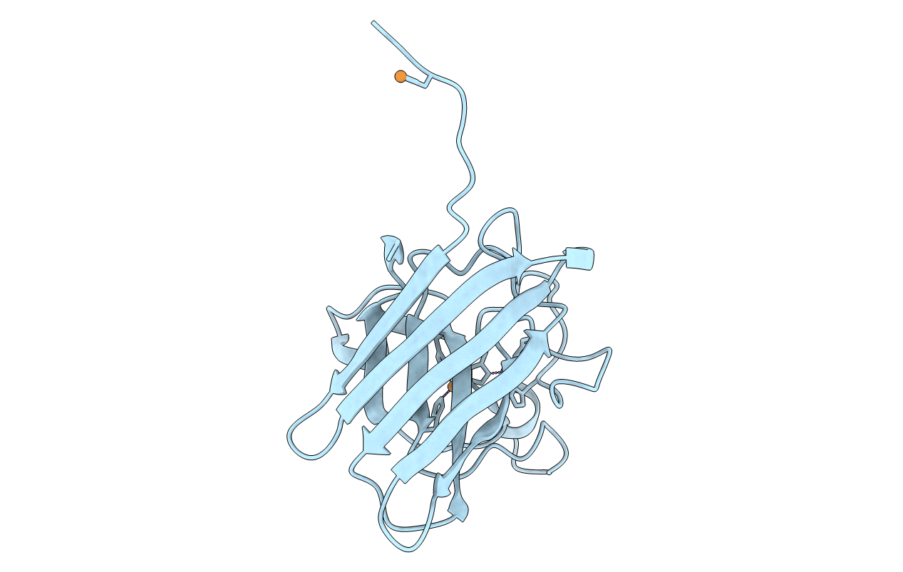 2E46 image