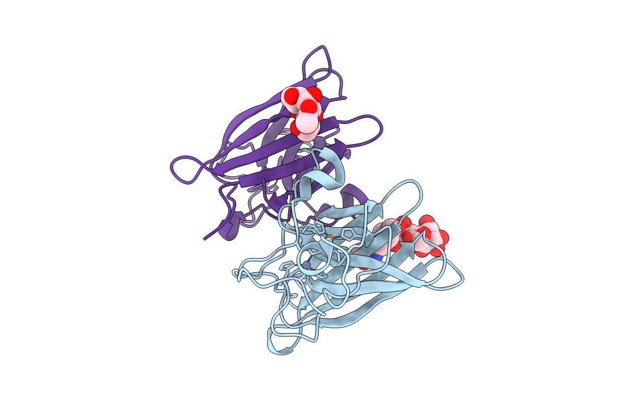 2E47 image