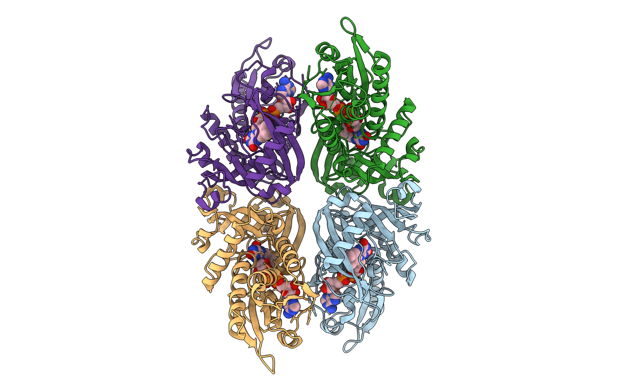 2E48 image