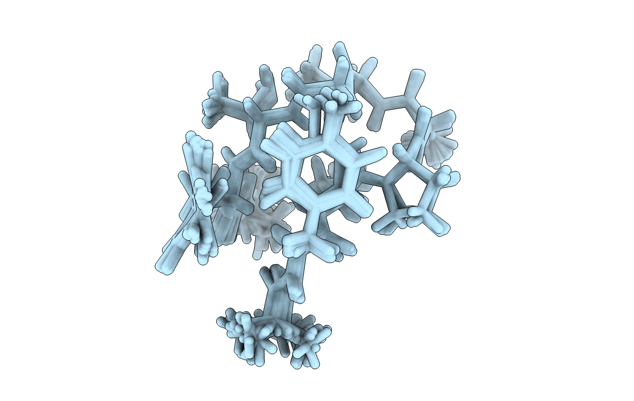 2E4E image