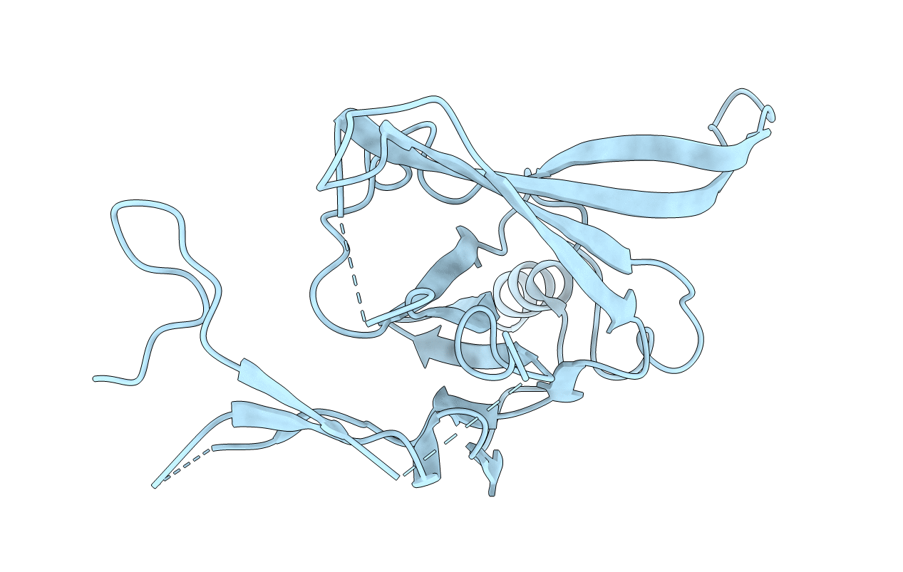 2e4f image