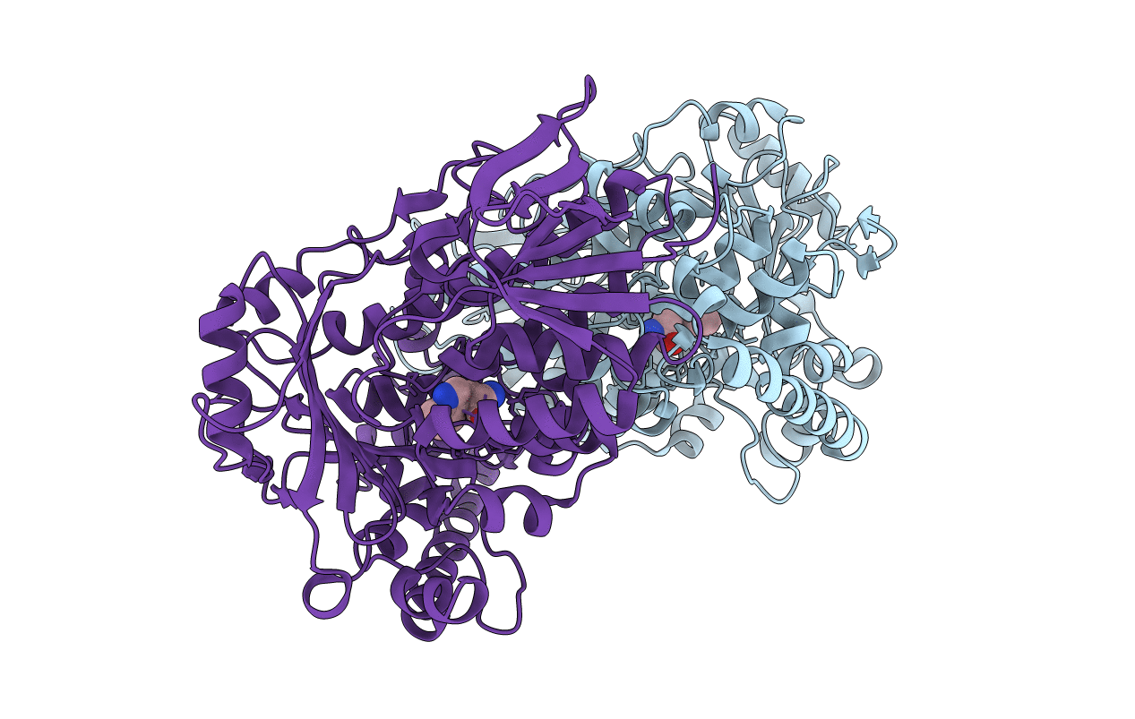 2E4G image