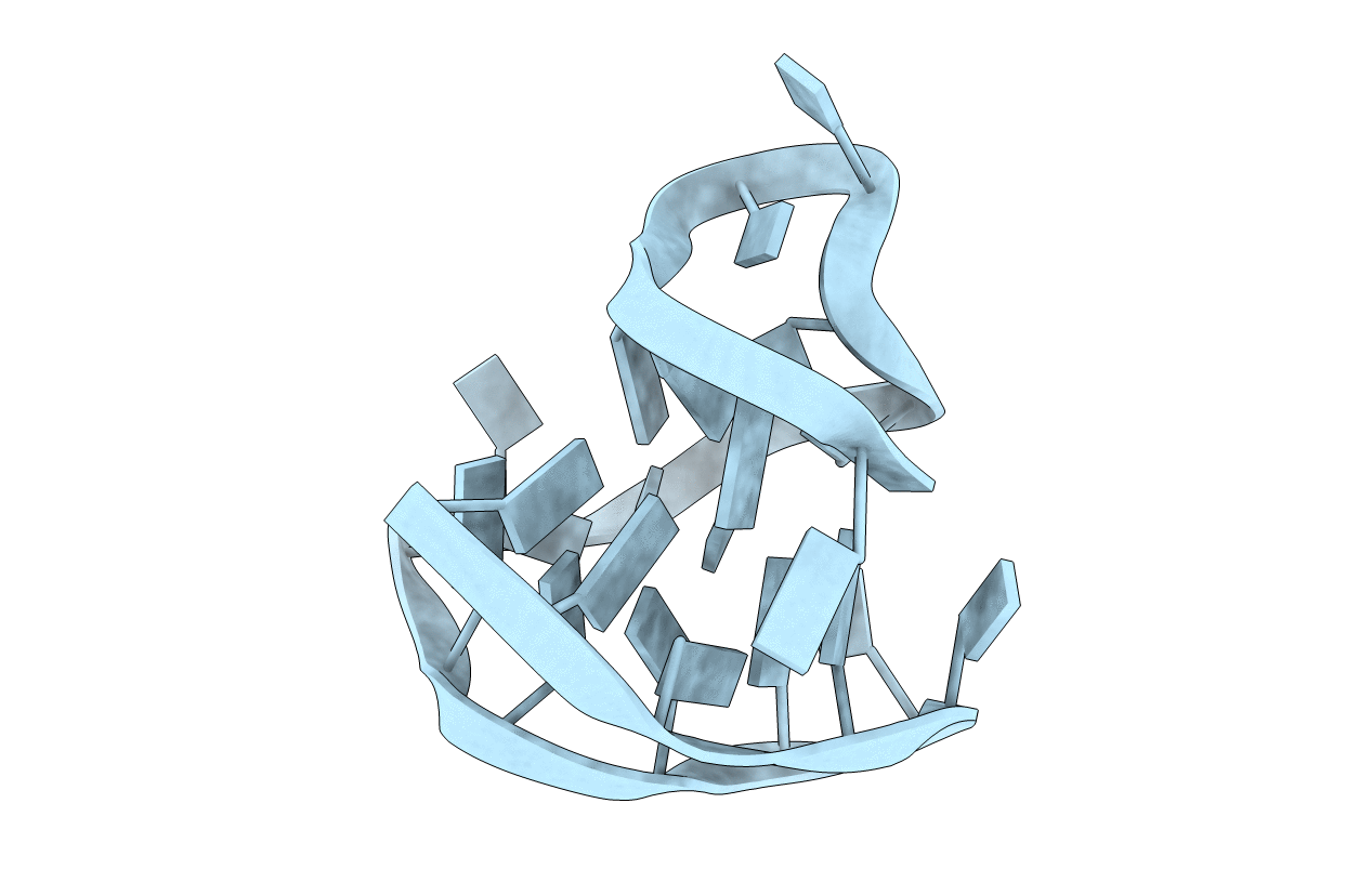 2E4I image