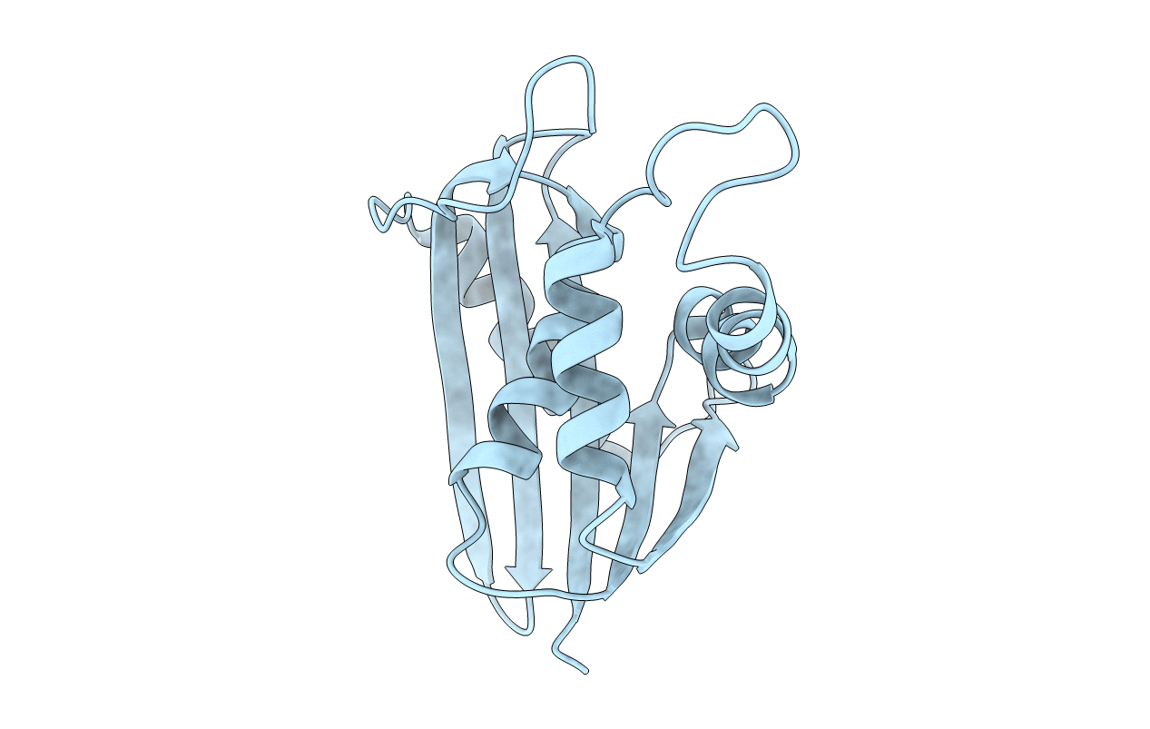 2E4L image