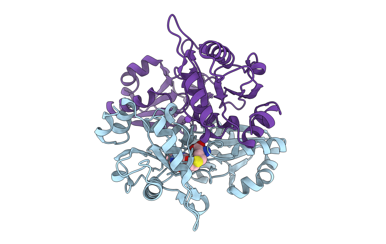 2E4N image