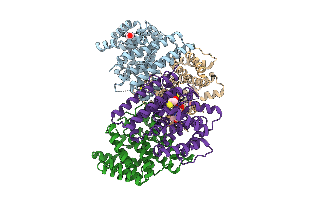 2E4O image