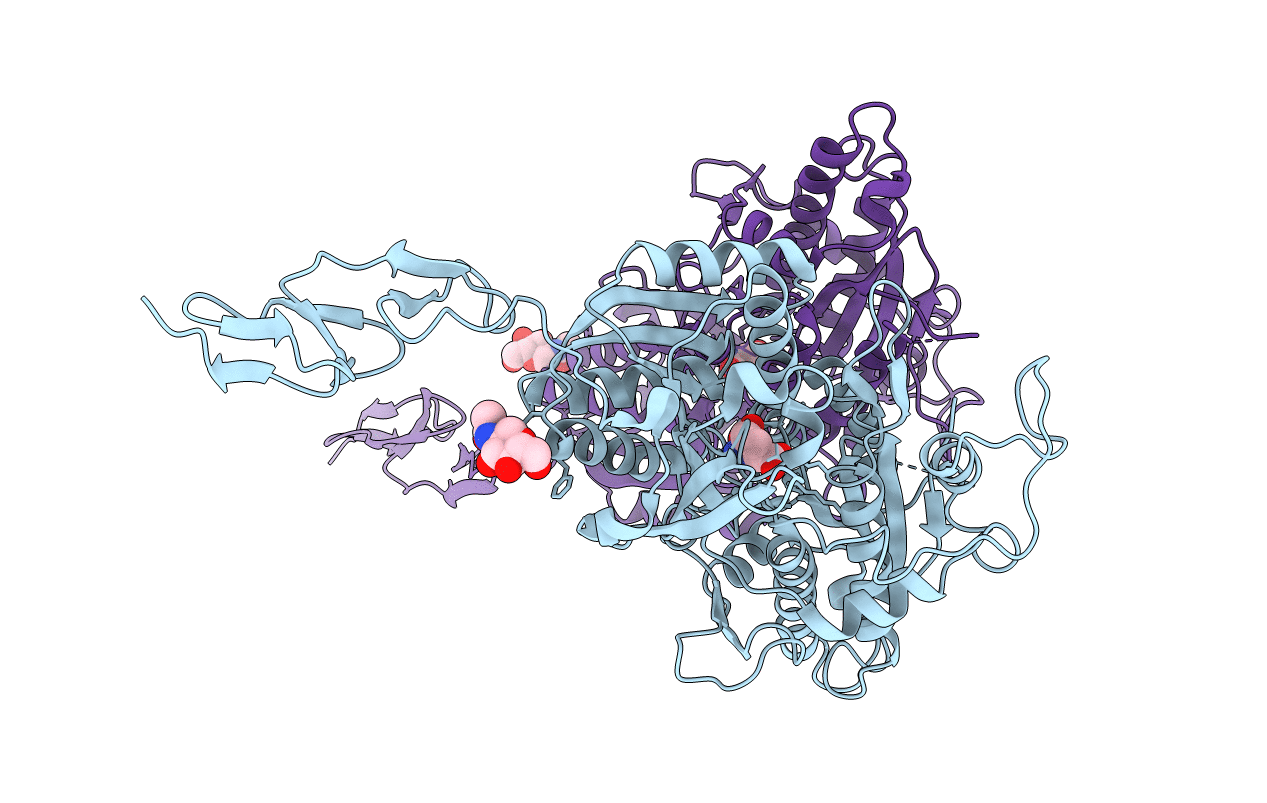2E4W image
