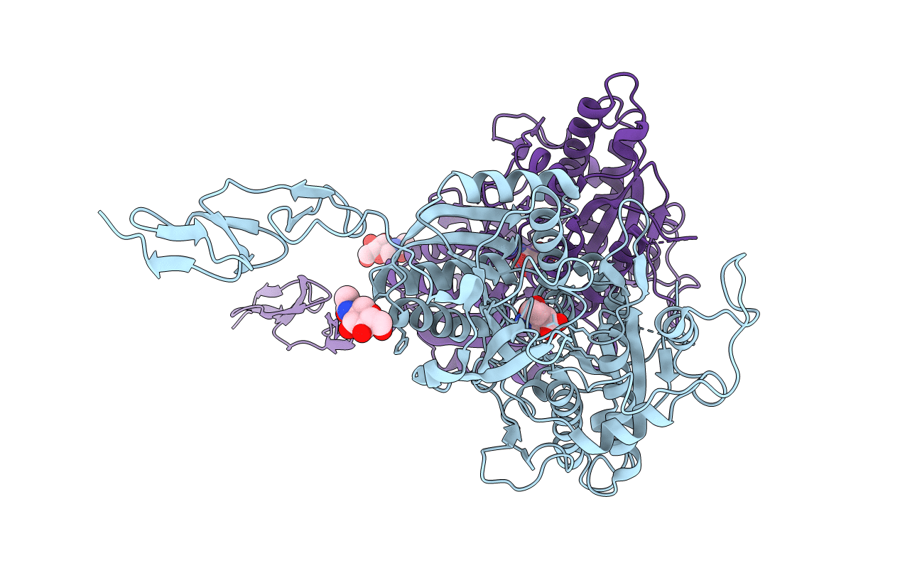 2E4X image
