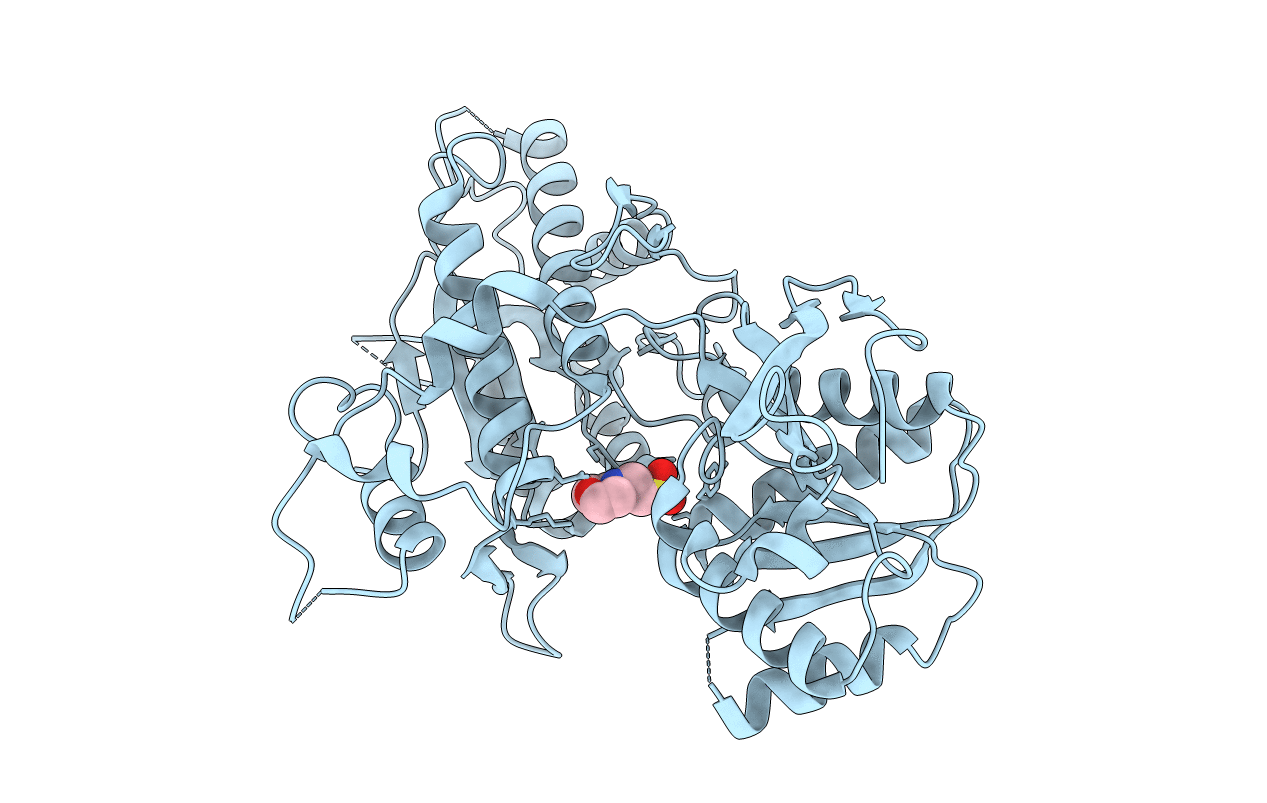 2E4Z image