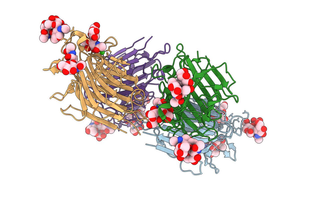 2E51 image
