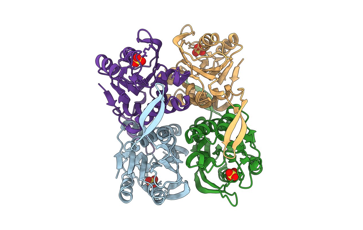 2E55 image