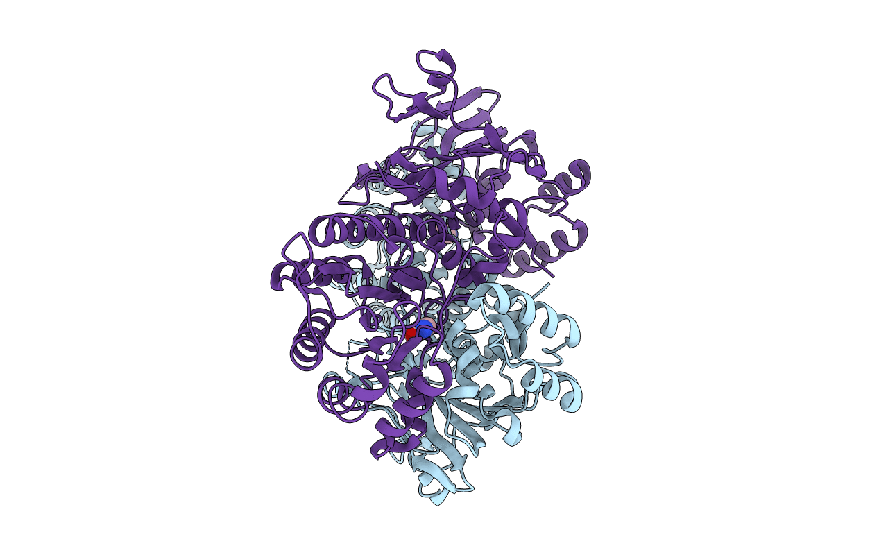 2E5D image
