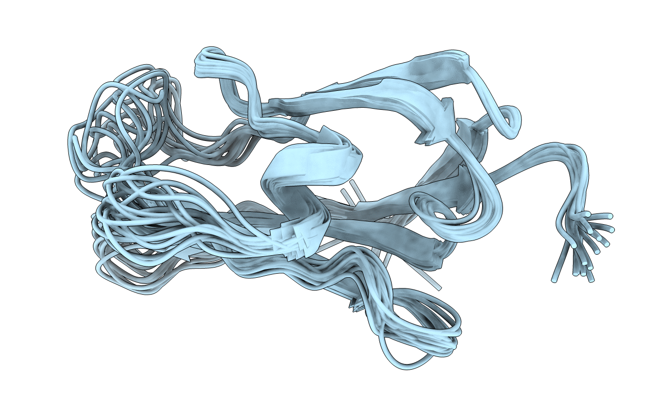 2E5E image