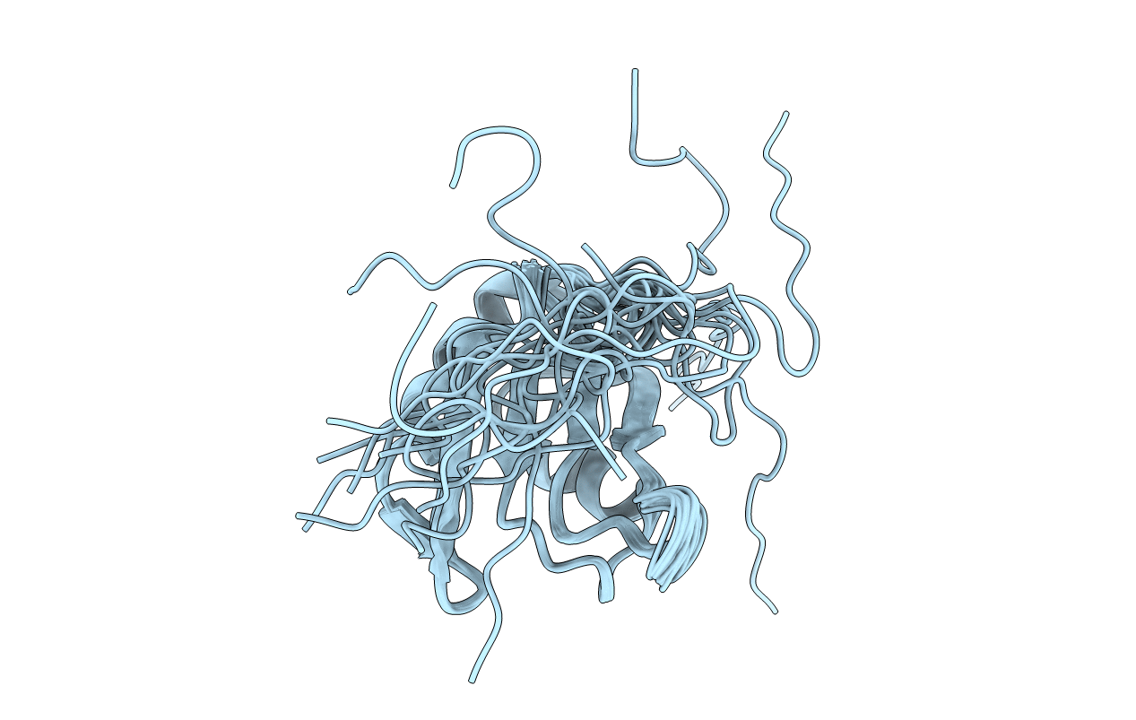 2E5H image