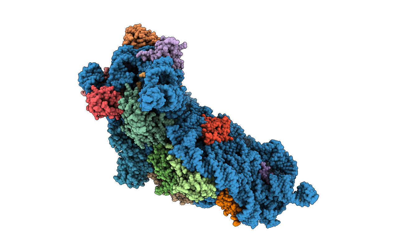 2E5L image