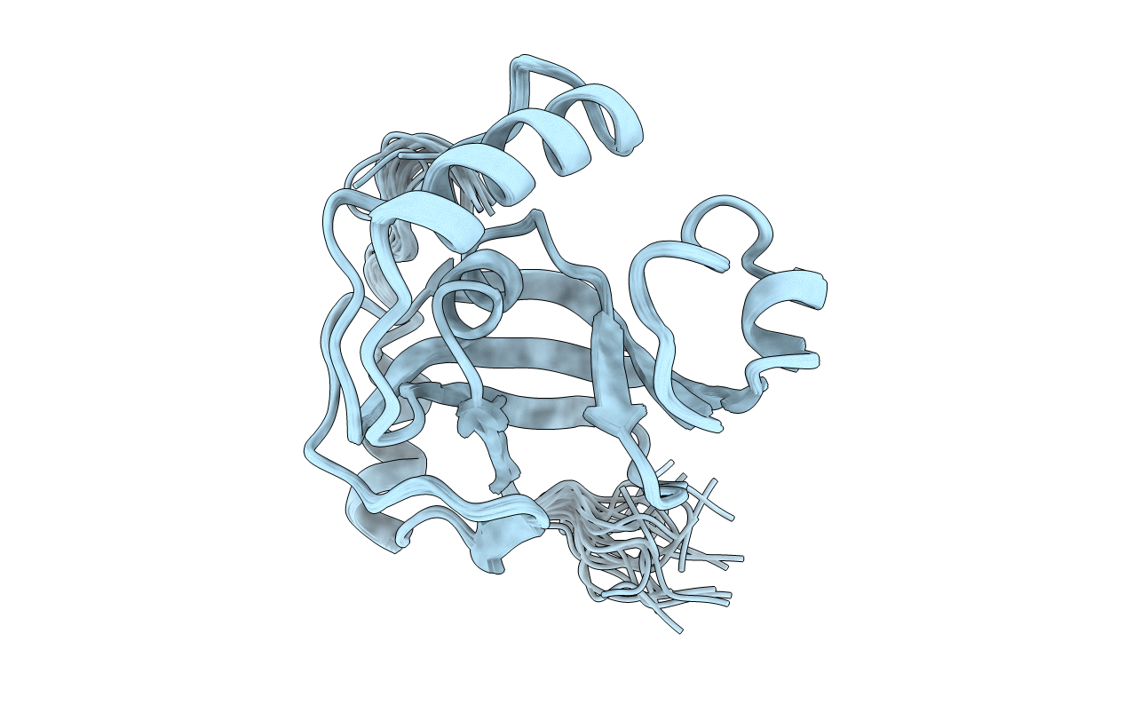 2E5O image