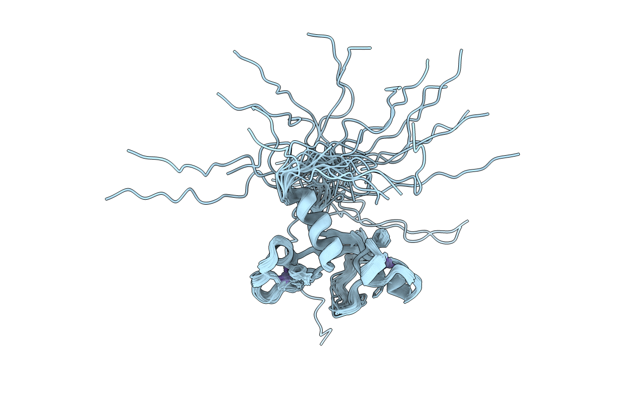 2E5S image
