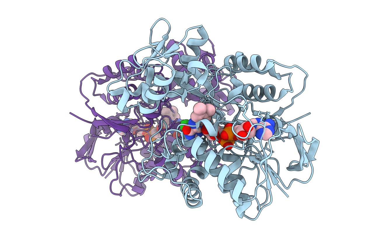 2E5V image