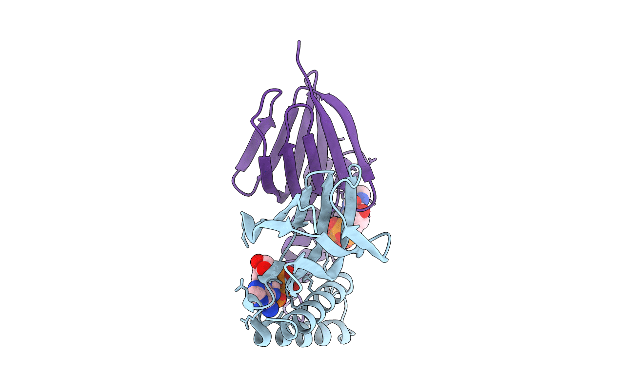 2E5Y image