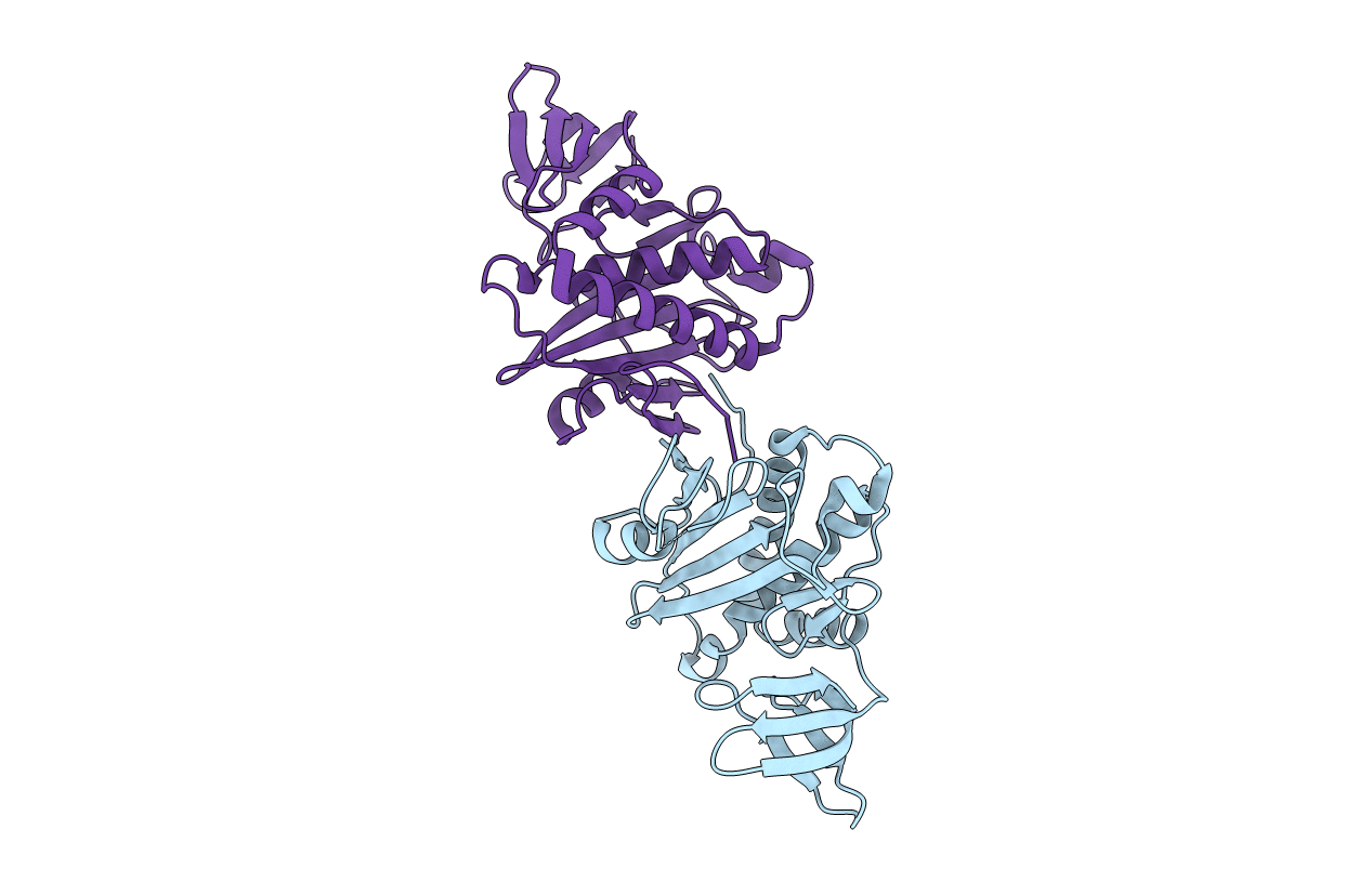 2E64 image