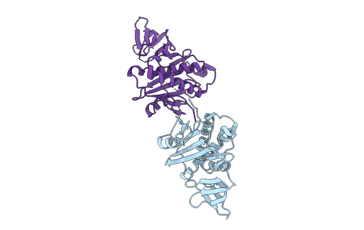 2E65 image