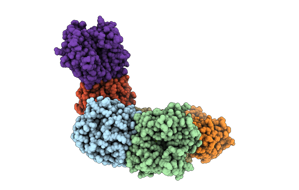 2E67 image