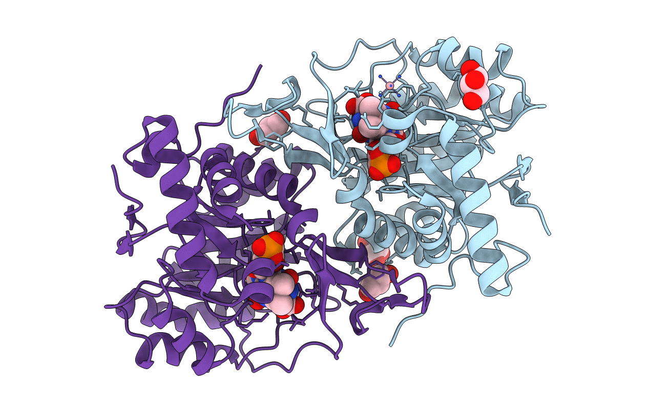 2E6A image