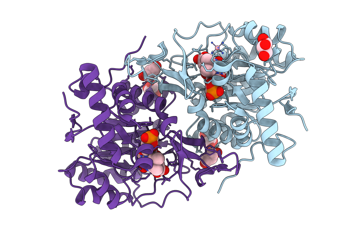 2E6D image