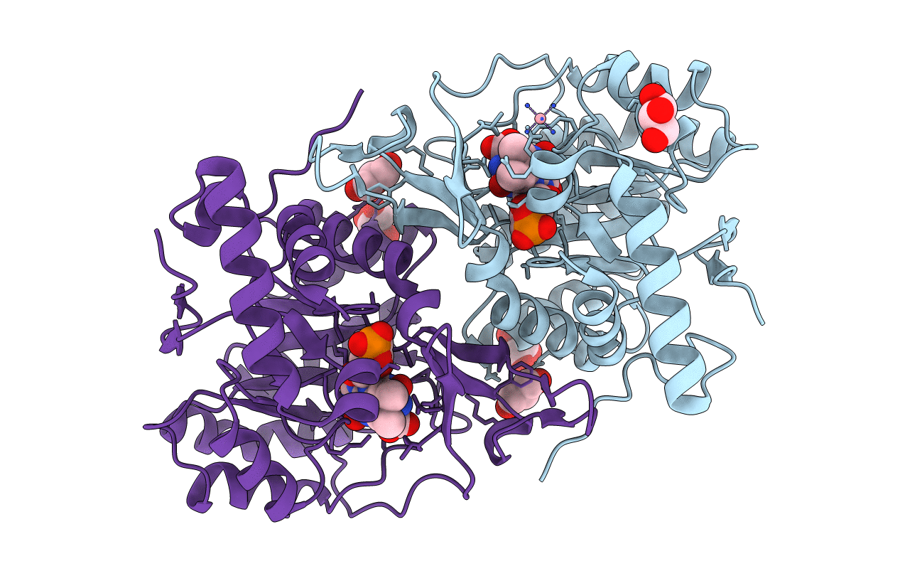 2E6F image