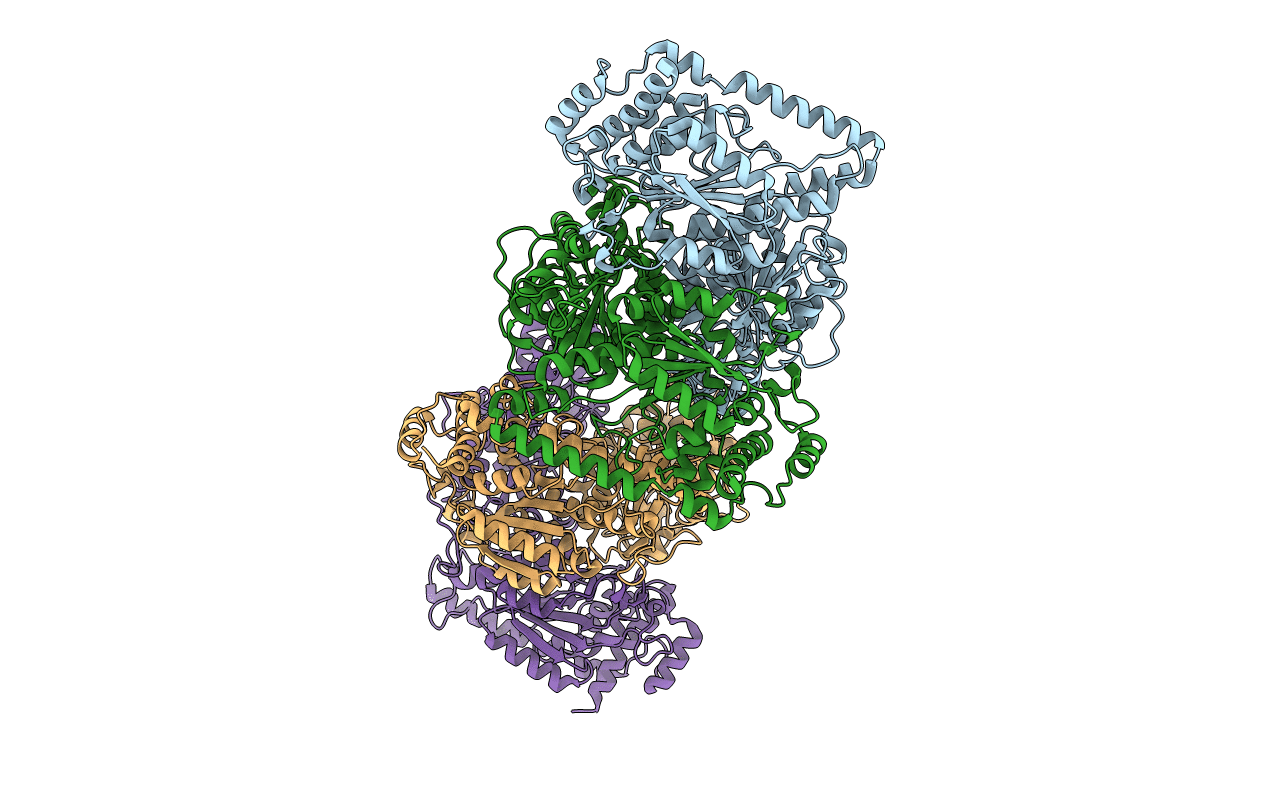2E6K image