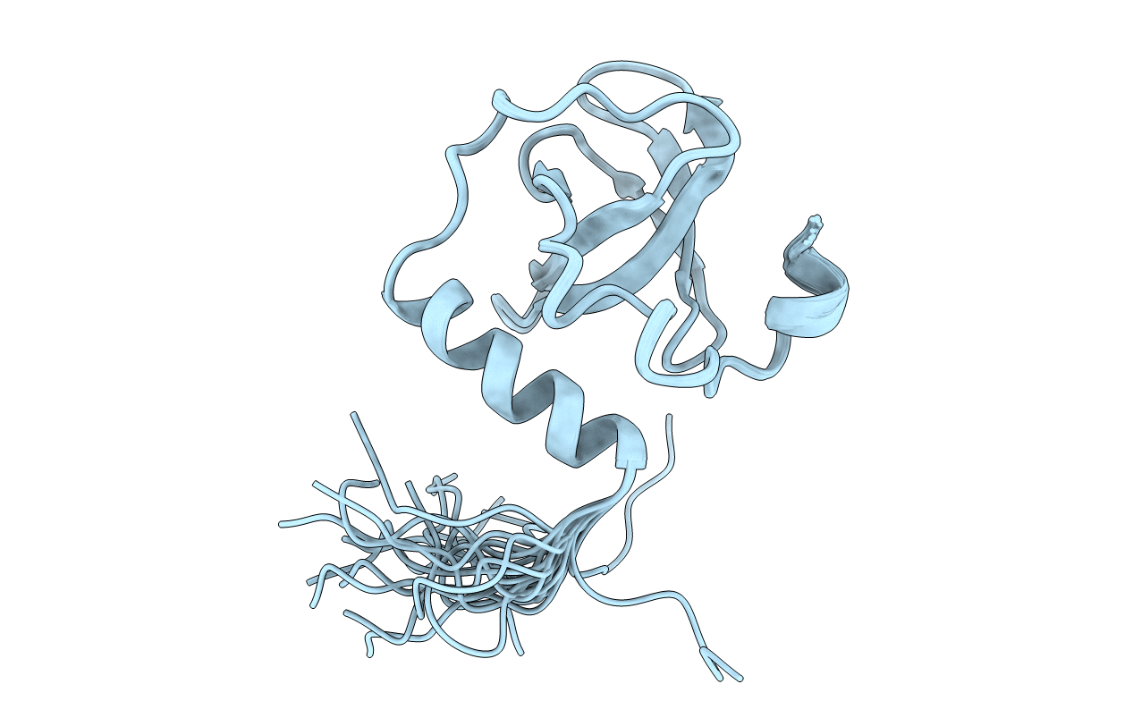 2E6N image
