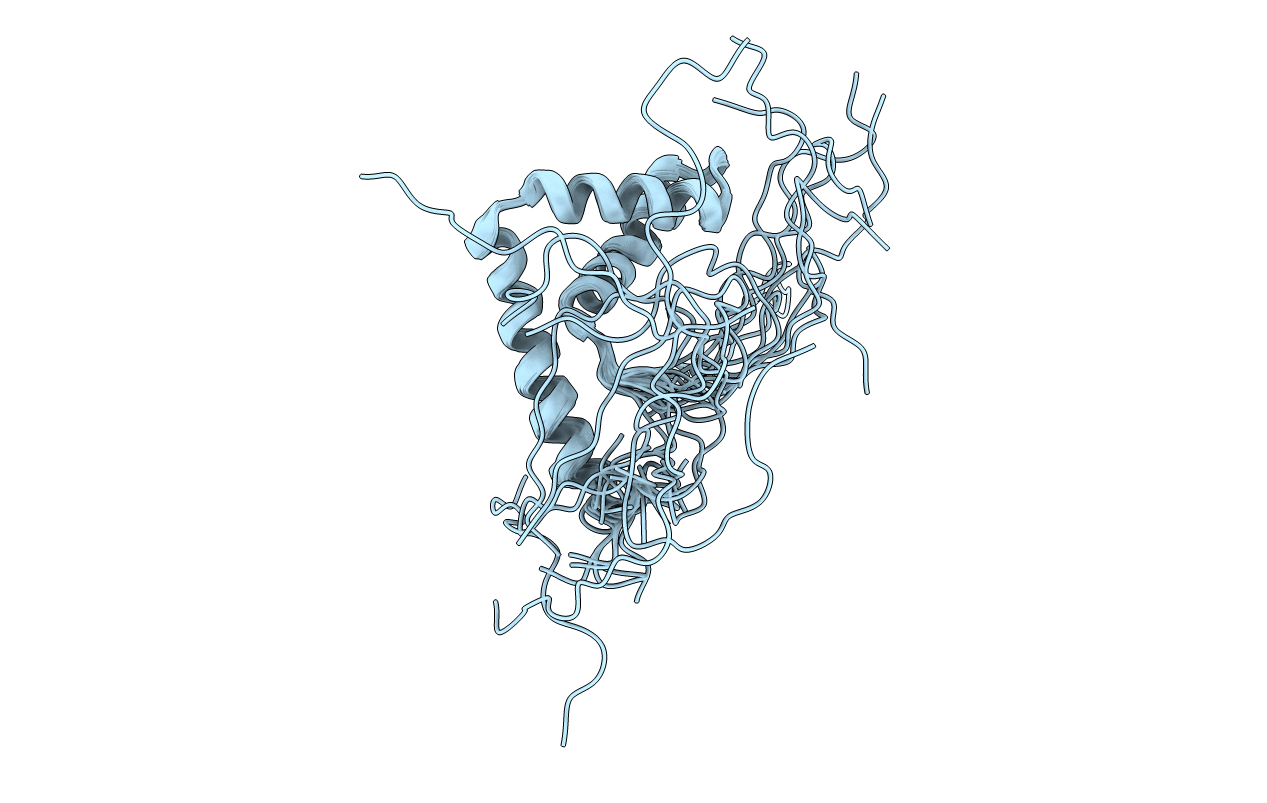 2E6O image