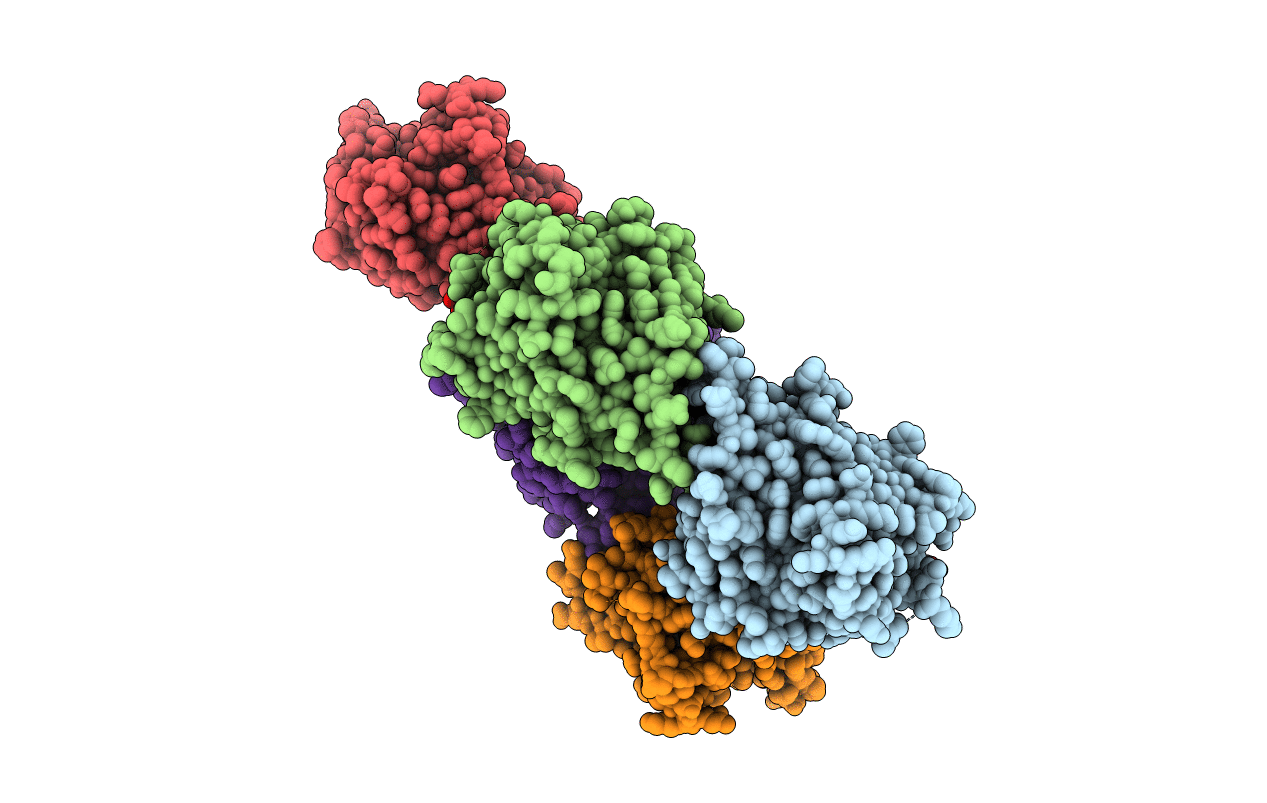 2E6V image