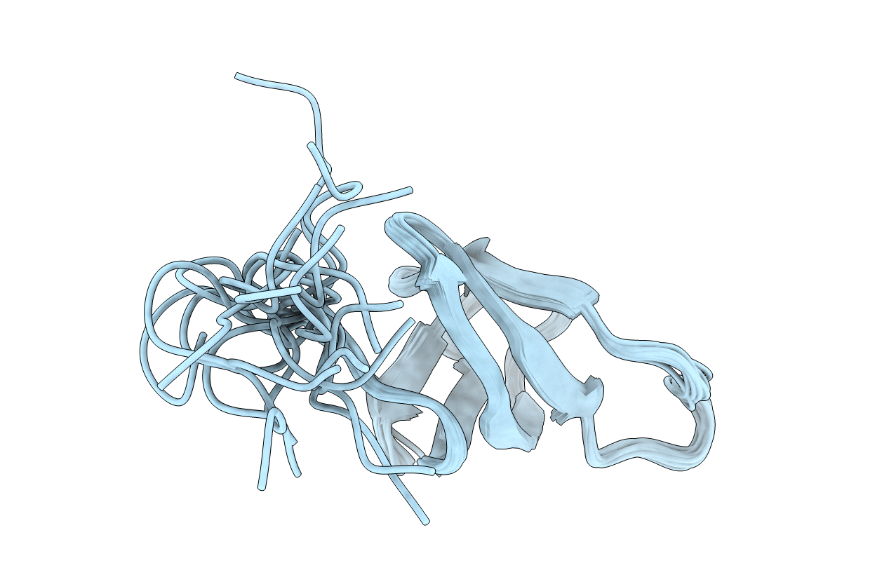 2E6Z image