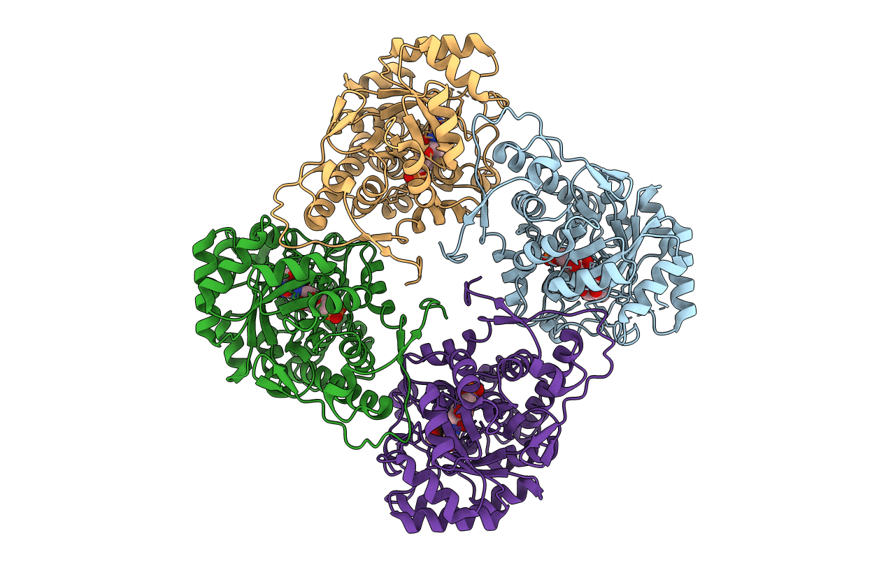 2E77 image