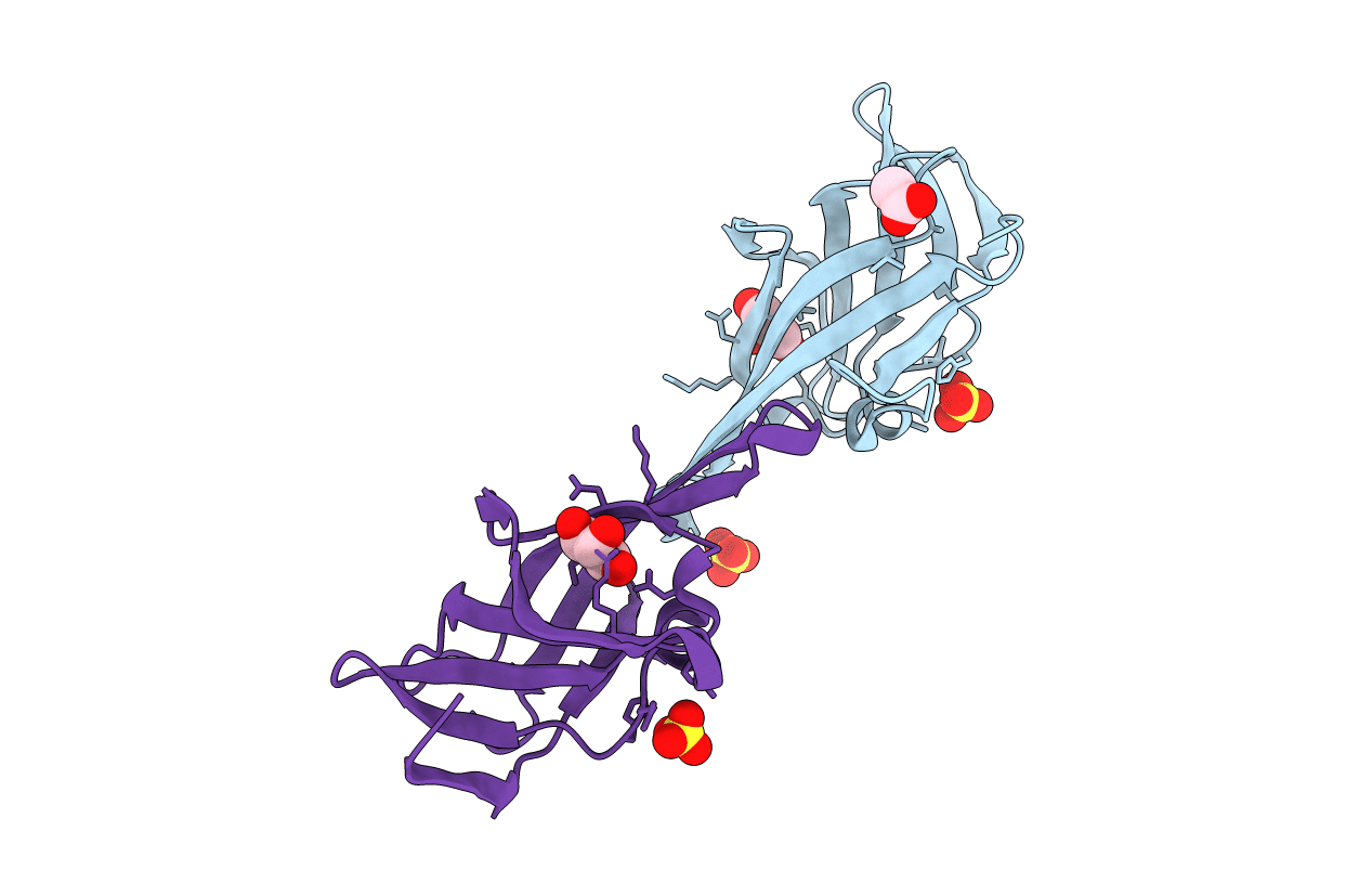 2E7D image