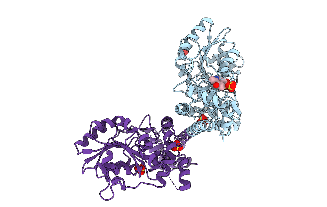 2E7I image