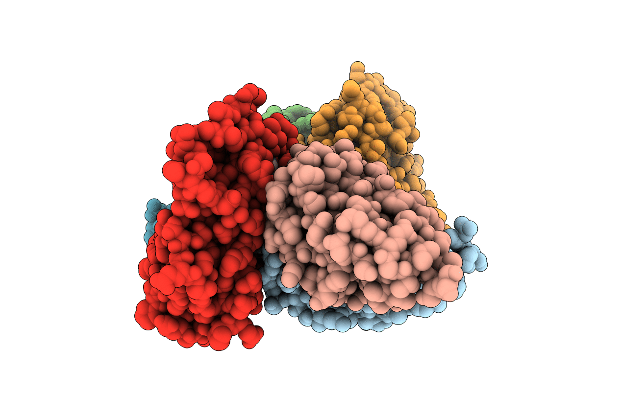 2E7L image