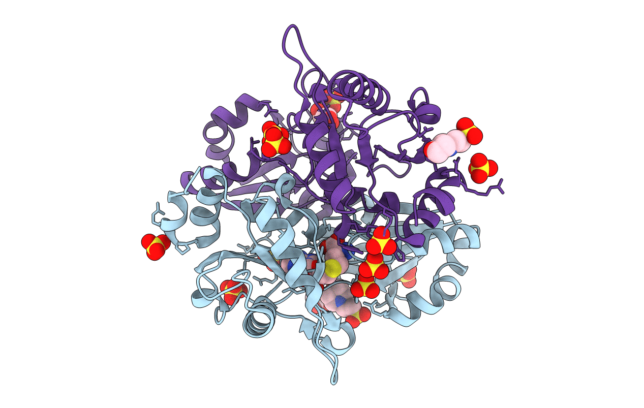 2E7R image