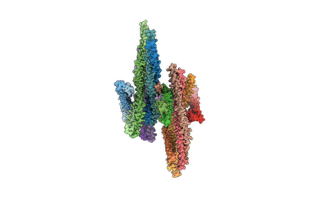 2E7S image