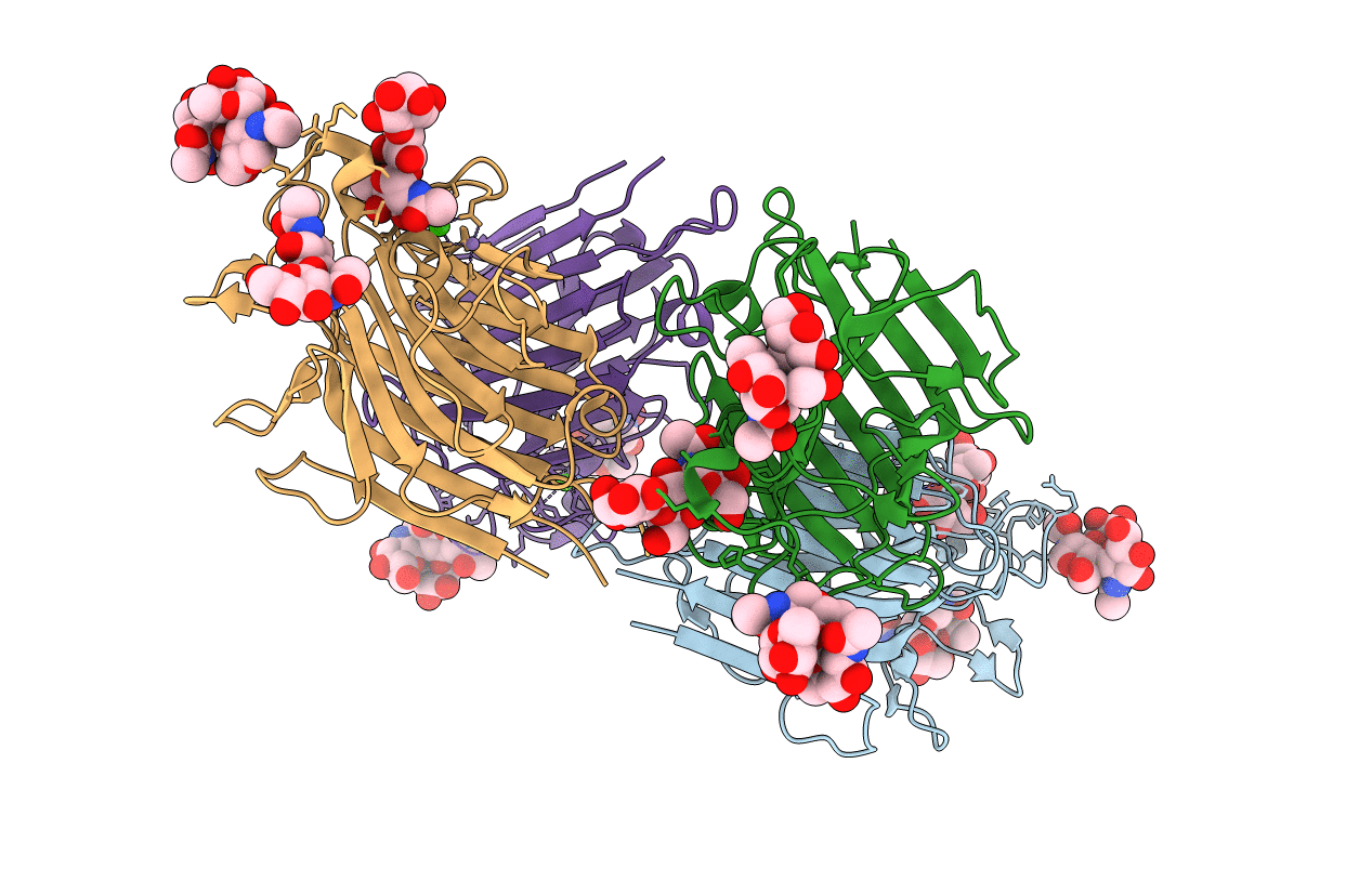 2E7T image