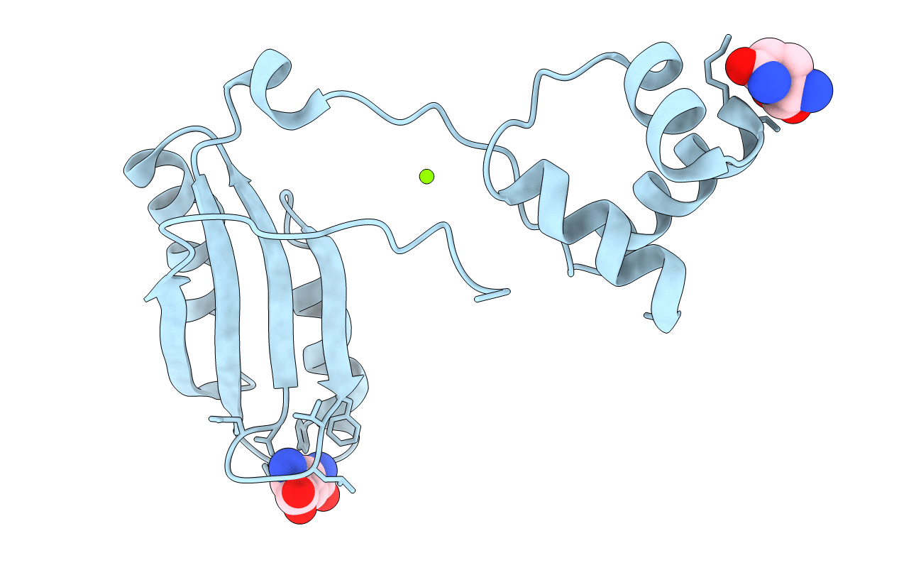 2E7X image