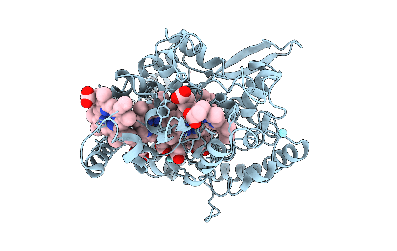 2E81 image