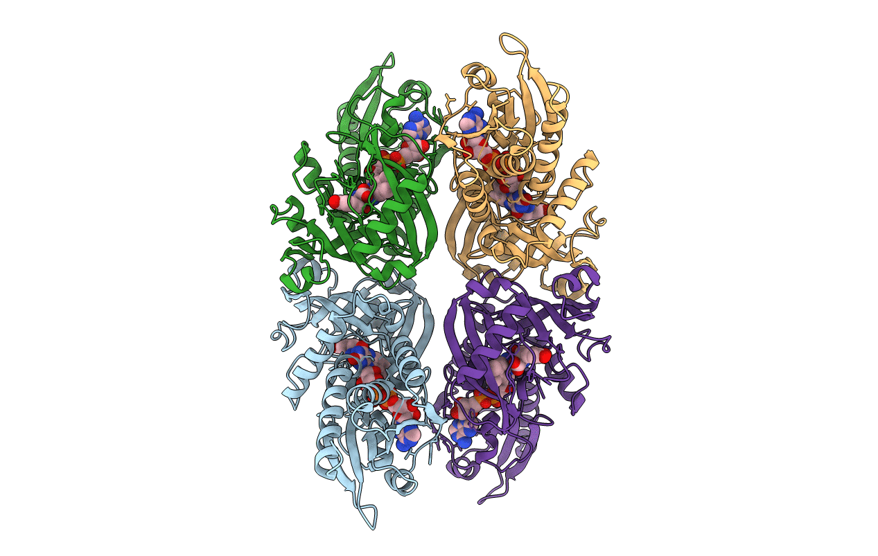 2E82 image