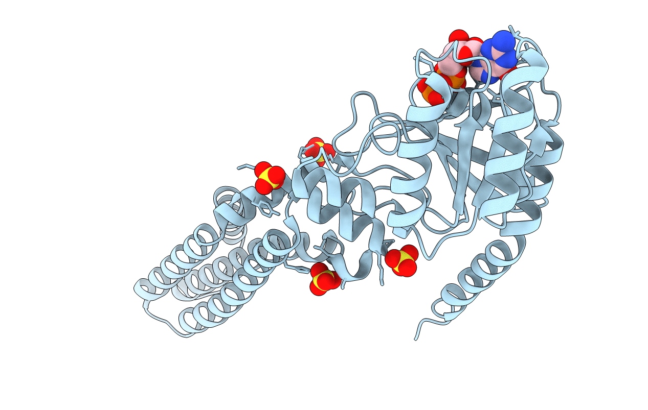 2E87 image
