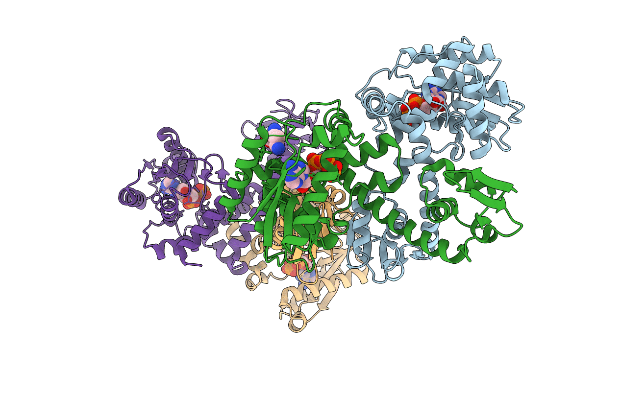 2E89 image
