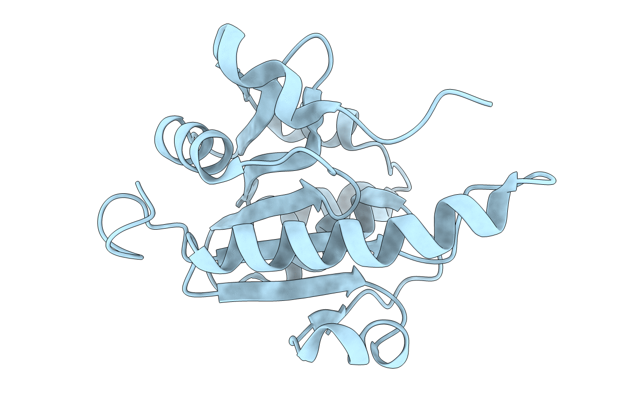 2E8B image