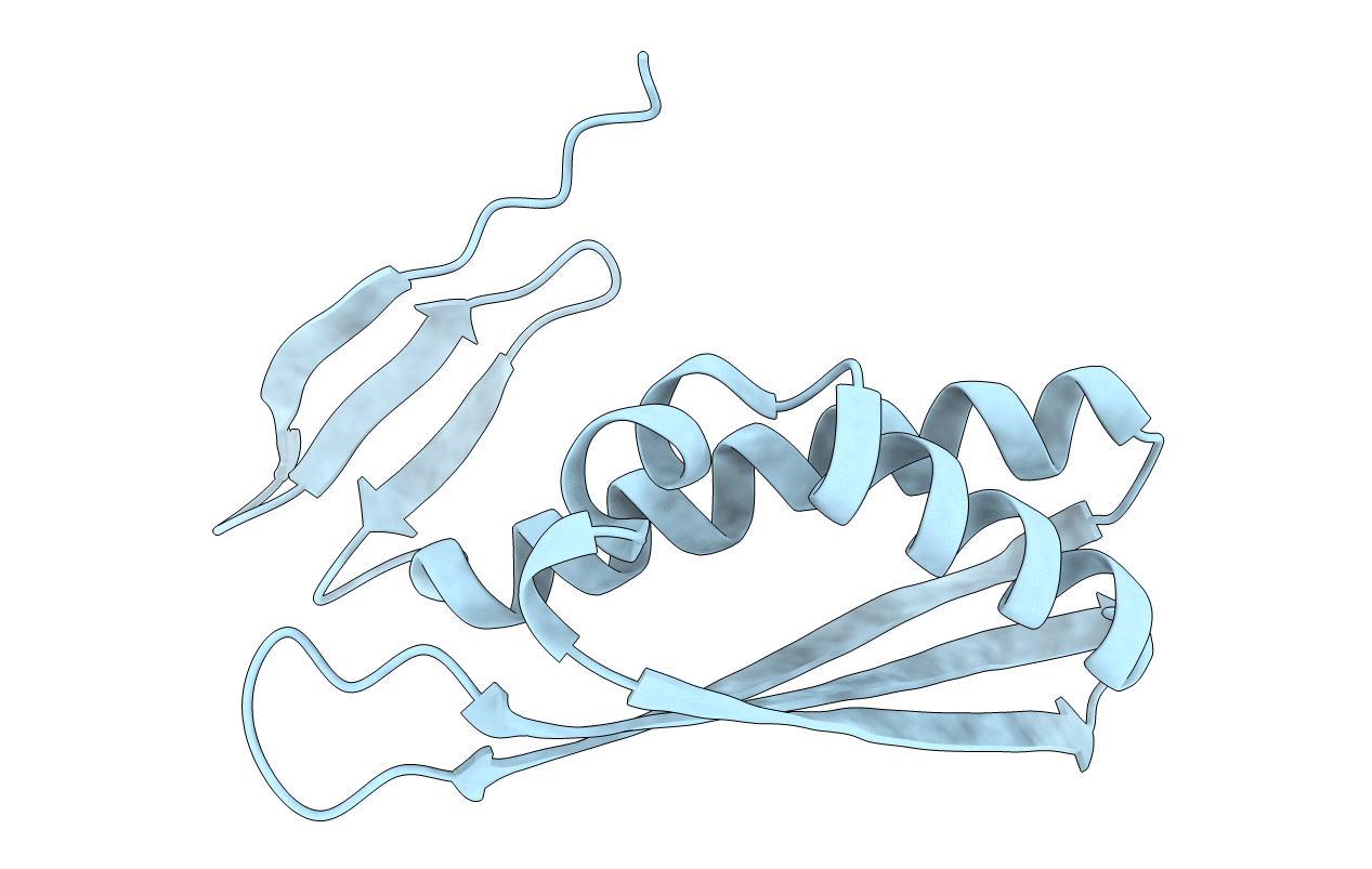 2E8C image