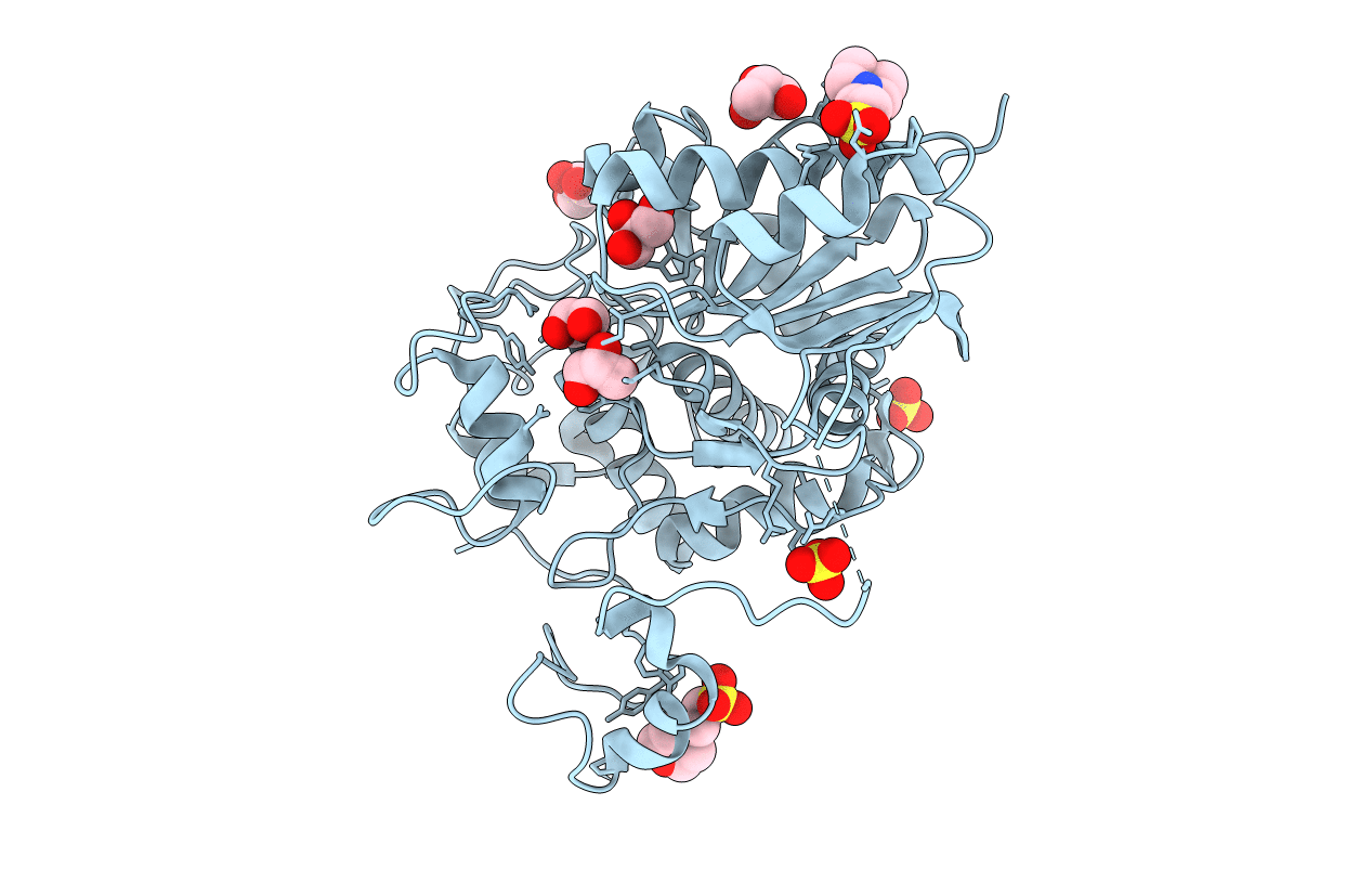 2E8I image