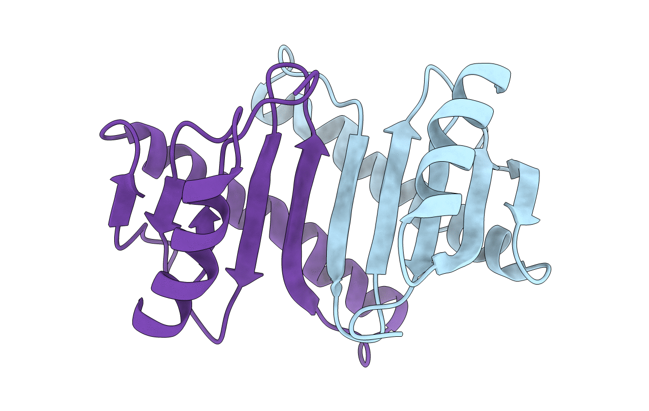2E8J image
